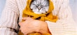Winter mental health cat
