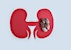 Kidney stones at urgent care