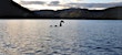 Loch ness monster myth